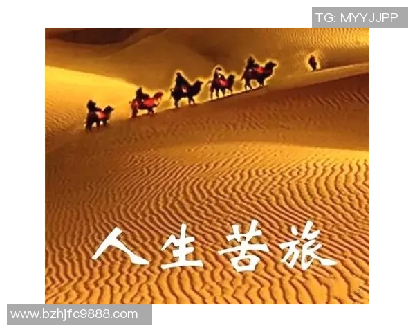 景菡一的成长之路:从梦想起航到人生巅峰的精彩旅程 景菡一的成长之路:从梦想起航到人生巅峰的精彩旅程