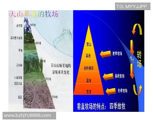 婆罗洲与帕森拉的生态对比与文化交融探讨