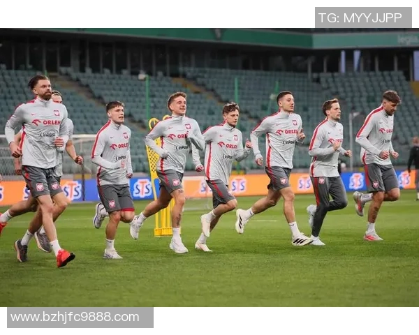 2017年世预赛丹麦对阵波兰精彩回顾与赛后分析