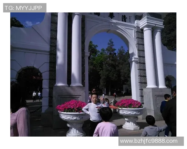 北京排球队奋勇拼搏的历程与荣耀背后的故事MBA