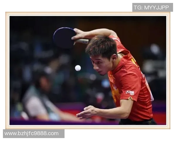 从零起步掌握乒乓球战术技巧全面指南助你成为乒乓高手