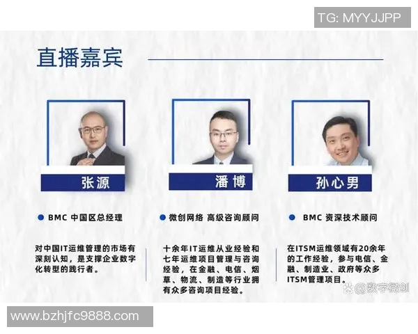 上海排球队快攻革新之路：战术变革与未来展望